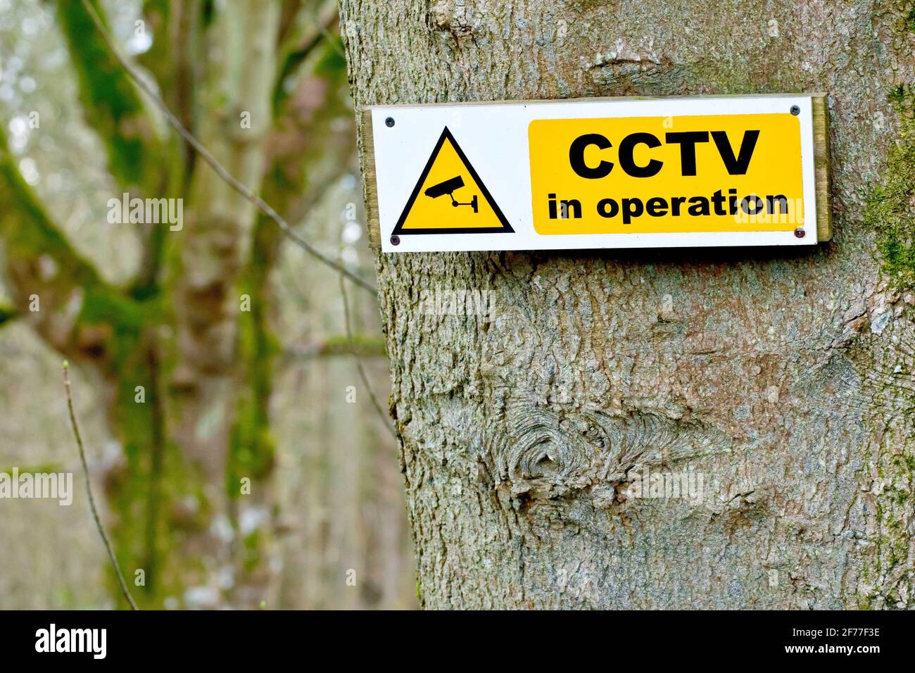 Close up of a warning sign attached to a tree at the edge of private woodland indicating CCTV is in operation. Stock Photo