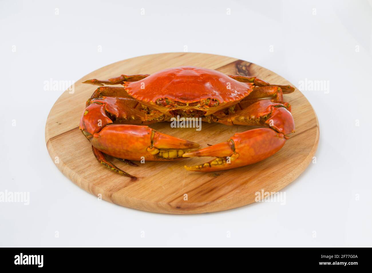 cooked mud crab, arranged on a wooden base with white textured ...