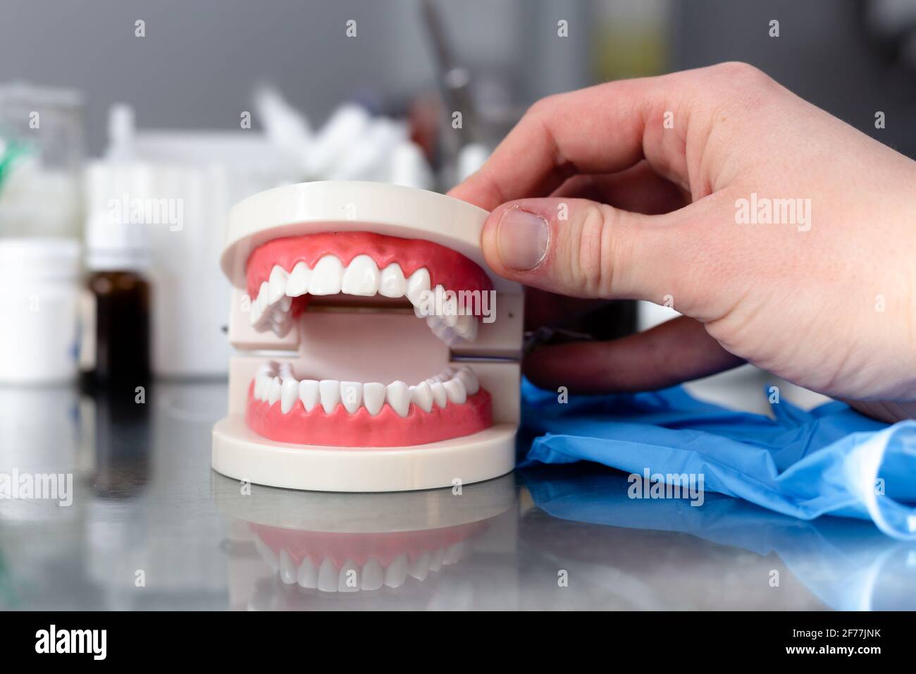Mock up jaw with teeth on table in dental office Stock Photo - Alamy