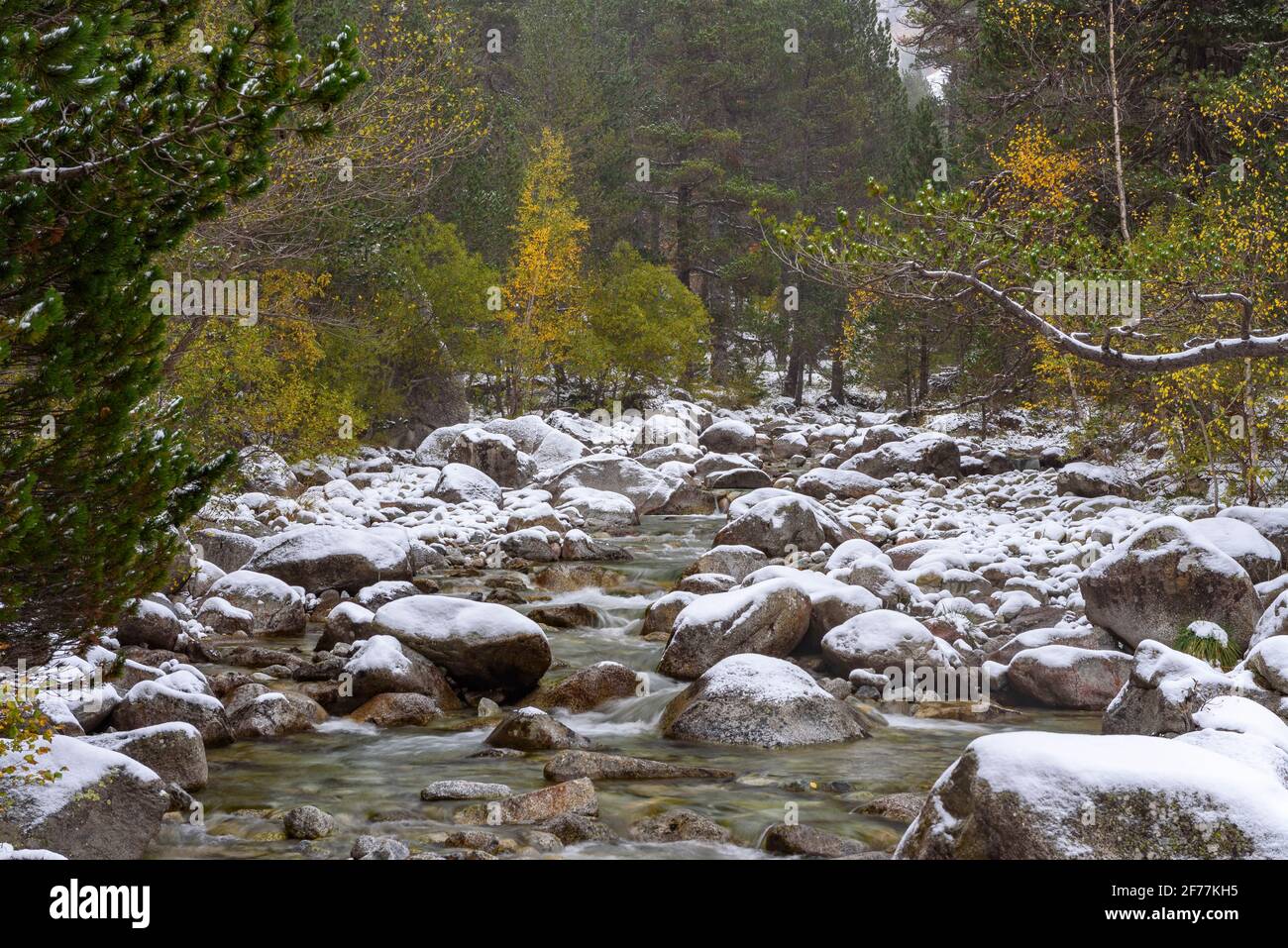 Noguera de Tor River, in the upper part of the Boí Valley, between Caldes de Boí and the Cavallers reservoir on a snowy day in autumn (Pyrenees) Stock Photo