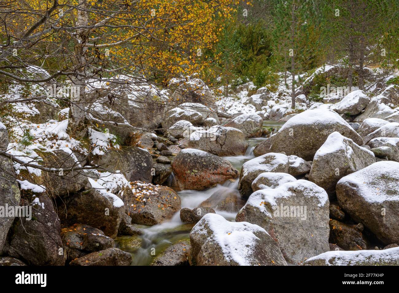 Noguera de Tor River, in the upper part of the Boí Valley, between Caldes de Boí and the Cavallers reservoir on a snowy day in autumn (Pyrenees) Stock Photo
