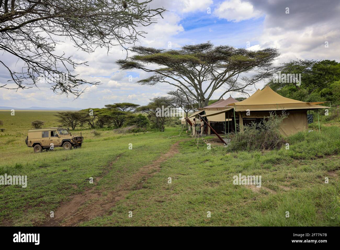 Tanzania, Arusha region, Serengeti National Park, Unesco World Heritage, The Matembsi Classic Camp, is set up on the passage of the migrations of wild animals, It welcomes tourists to discover the fauna in the park from the Serengeti Stock Photo