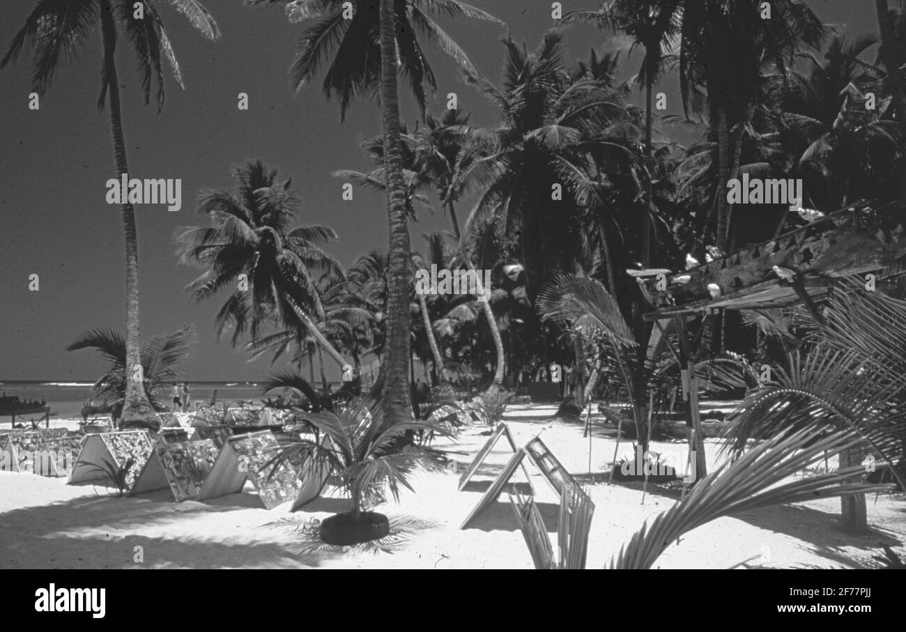 Dominican Republic: Haitien painters are selling paintings at Punt Cana Beach Stock Photo