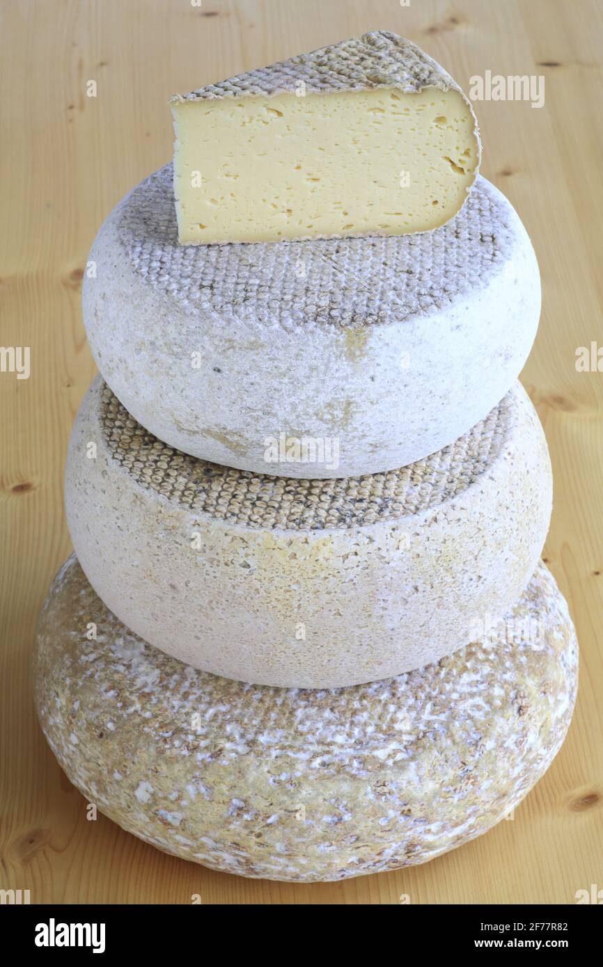 France, Ariege, Engomer, Le Moulin Gourmand, cheeses from Bethmale (L'Estive) which is a volume from the Pyrenees made from raw cow's milk Stock Photo