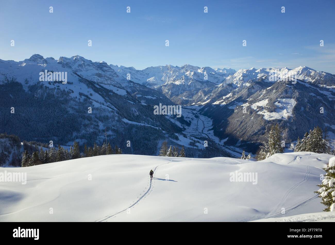 Switzerland, Lucerne, Vierwaldstaettersee, ski mountaineering to Buochserhorn Stock Photo