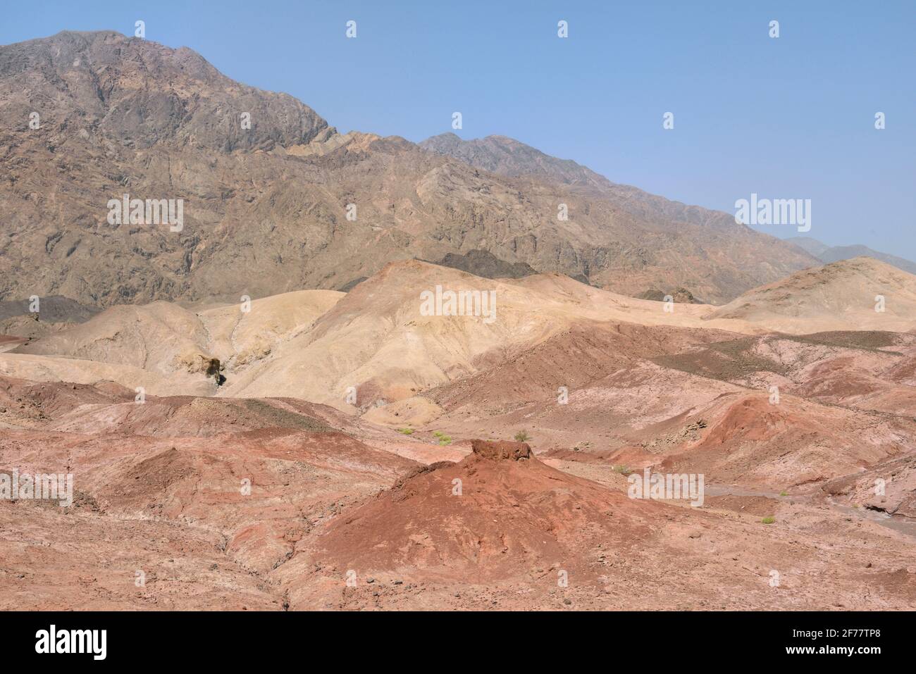 Iran, Kerman province, listed as World Heritage by UNESCO, Lut desert, Hormak Stock Photo