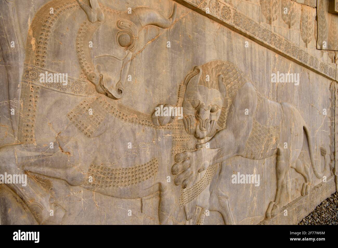 Iran, Persepolis, listed as World Heritage by UNESCO, Apadana eastern stairs, Bas relief of a lion attacking a bull The lion bull combat is argued to represent the perpetual cycle of day and night, with the lion representing the sun and the bull the night. It is also seen as a symbolic representation of astronomical and seasonal events like Nowruz, the iranian New year Stock Photo