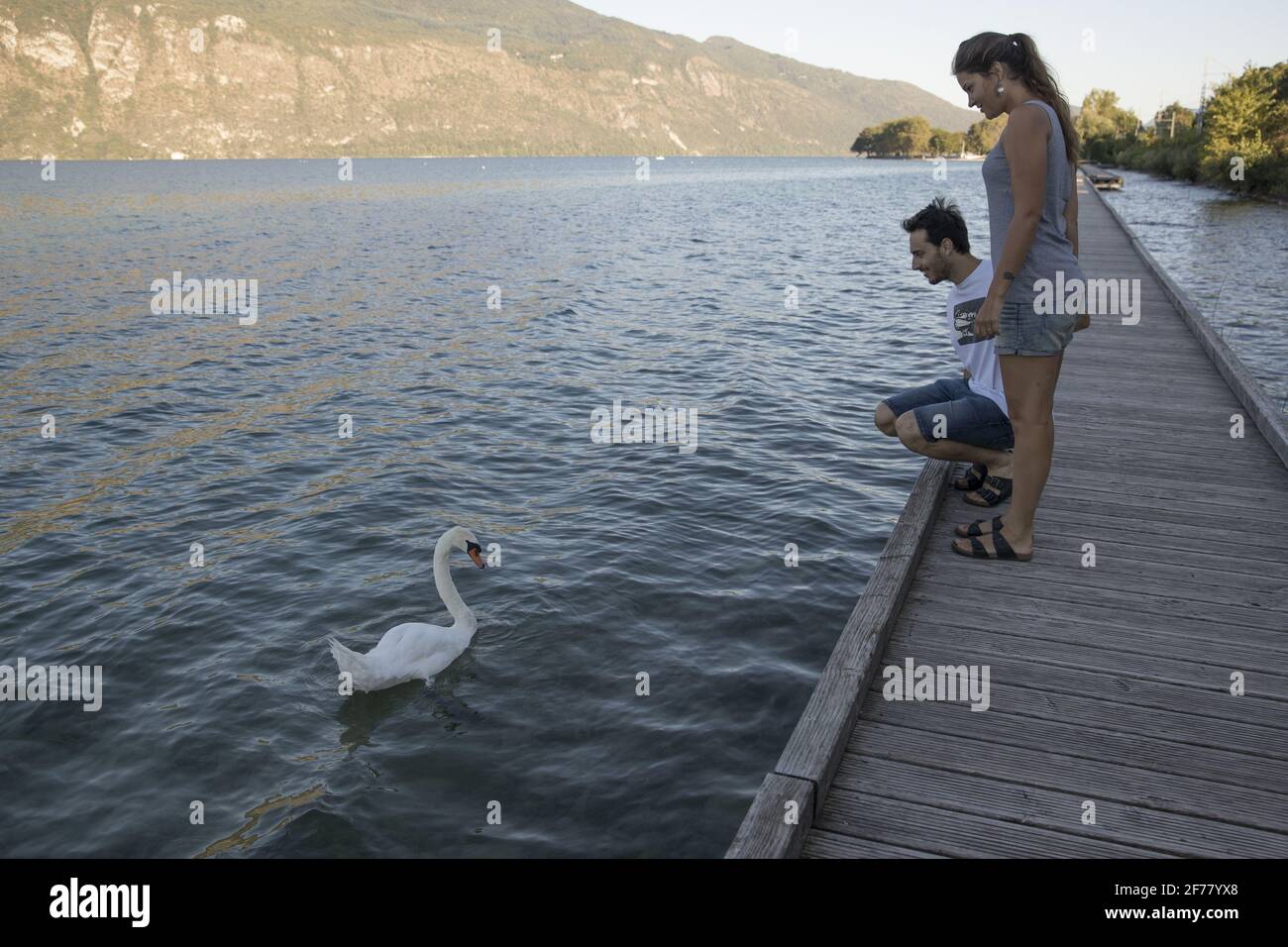 France, Savoie, Lac du Bourget, Aix les Bains, Riviera of the Alps, on the pedestrian path over the water This 26 km promenade begins near the Grand Port of Aix les Bains and along a small path along the Lac du Bourget The trail raises awareness of the preservation of flora and fauna Stock Photo