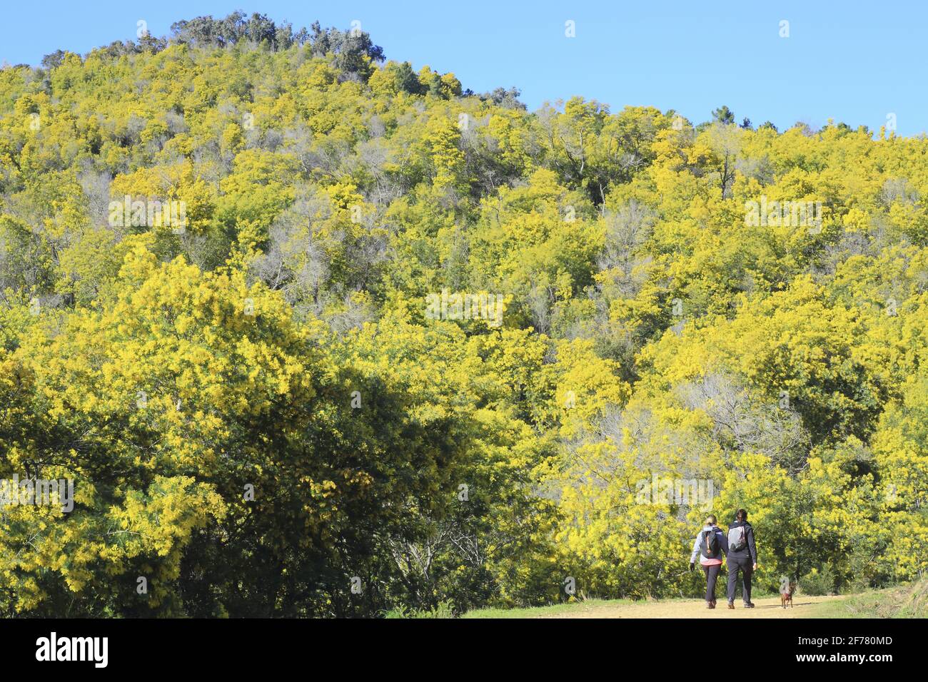 France, Alpes Maritimes, Mandelieu la Napoule,