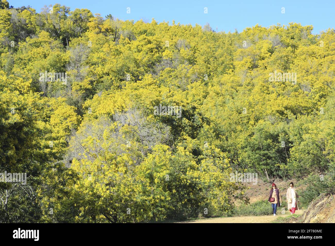 France, Alpes Maritimes, Mandelieu la Napoule,