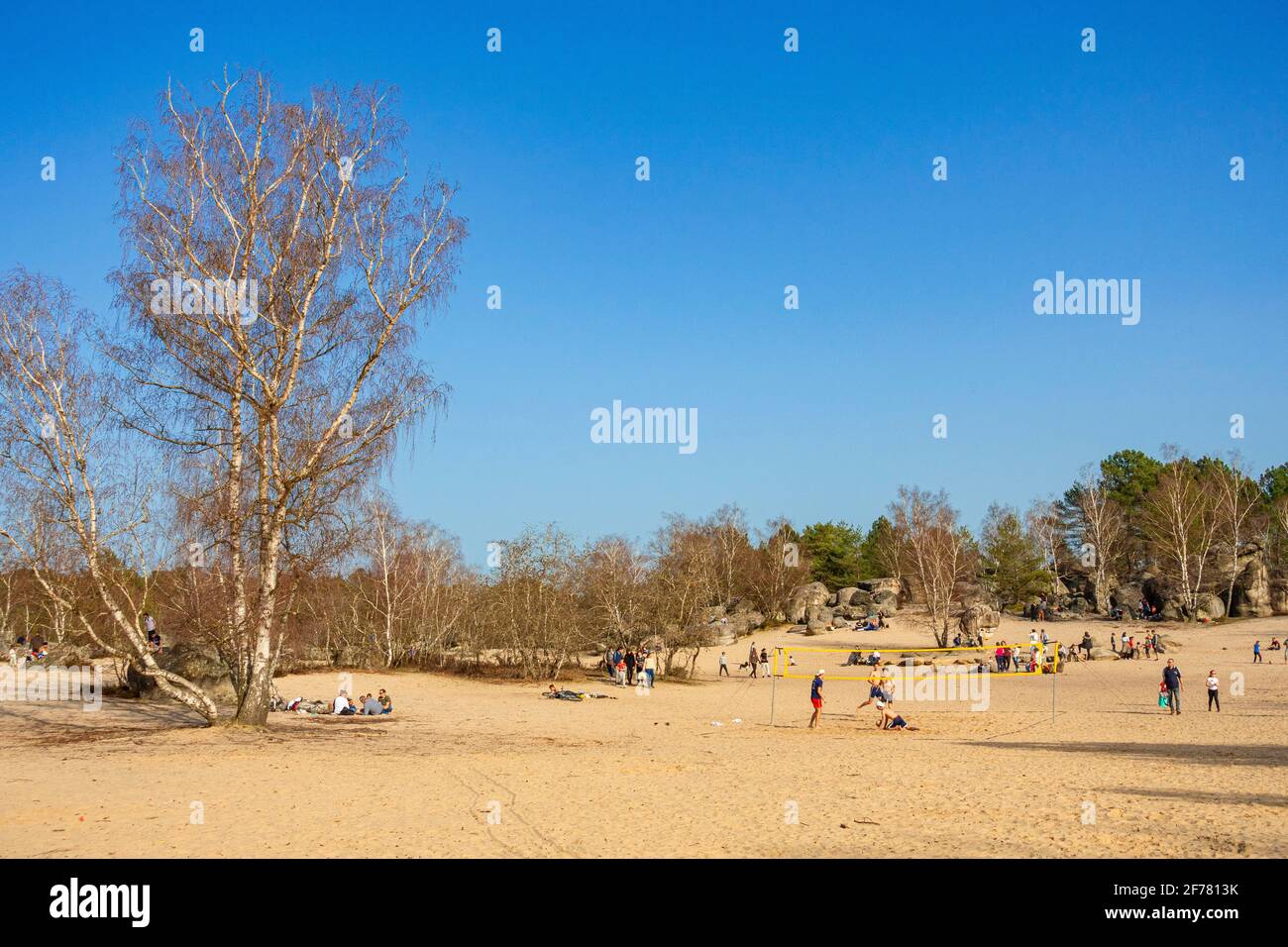 France, Seine et Marne, Fontainebleau forest, Noisy sur Ecole, the sands of Cul du Chien Stock Photo
