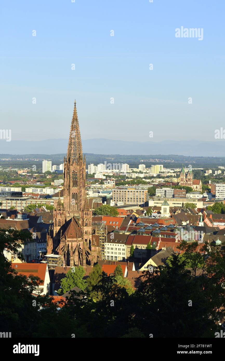 Germany, Baden Wurttemberg, Freiburg im Breisgau, view from the Schlossberg with the cathedral (Münster) and the Sacred Heart of Jesus Church in the background Stock Photo