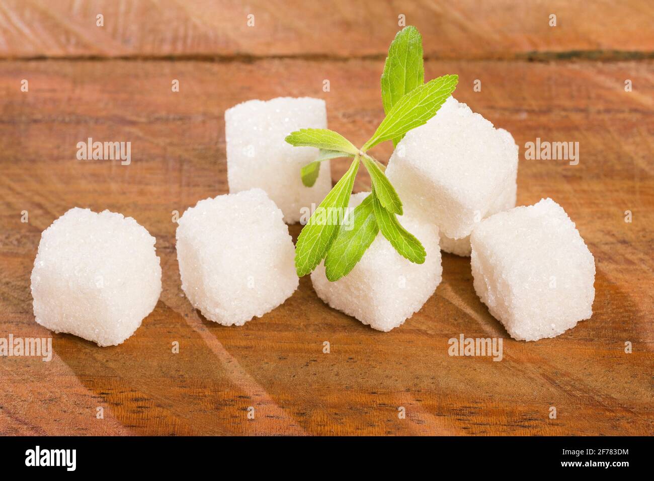 Sugar cubes and leaves of stevia plant Stevia rebaudiana Stock Photo Alamy