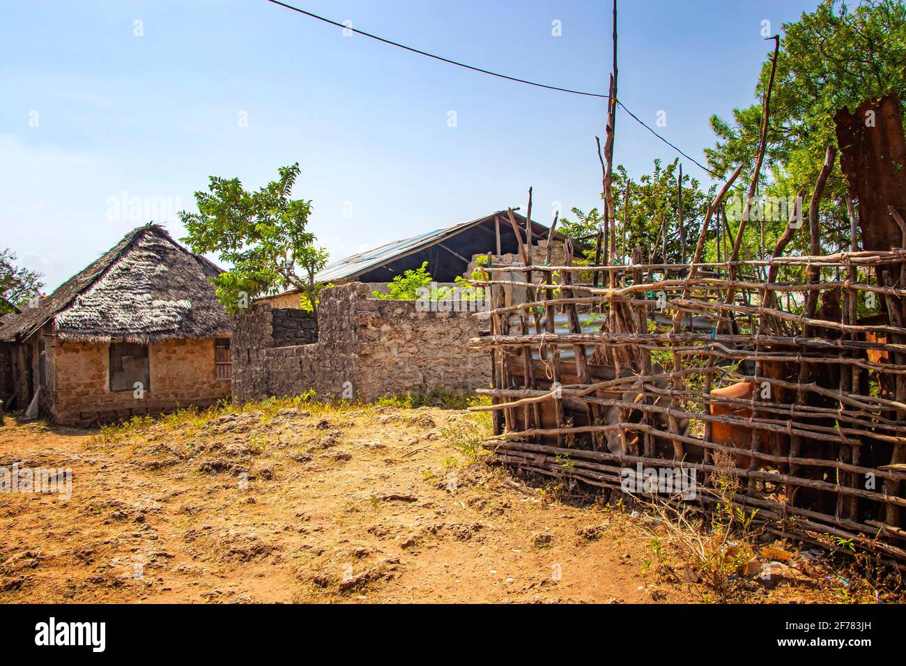Typical stone houses in an African village on Wasini island. It is a small village in Kenya. Stock Photo