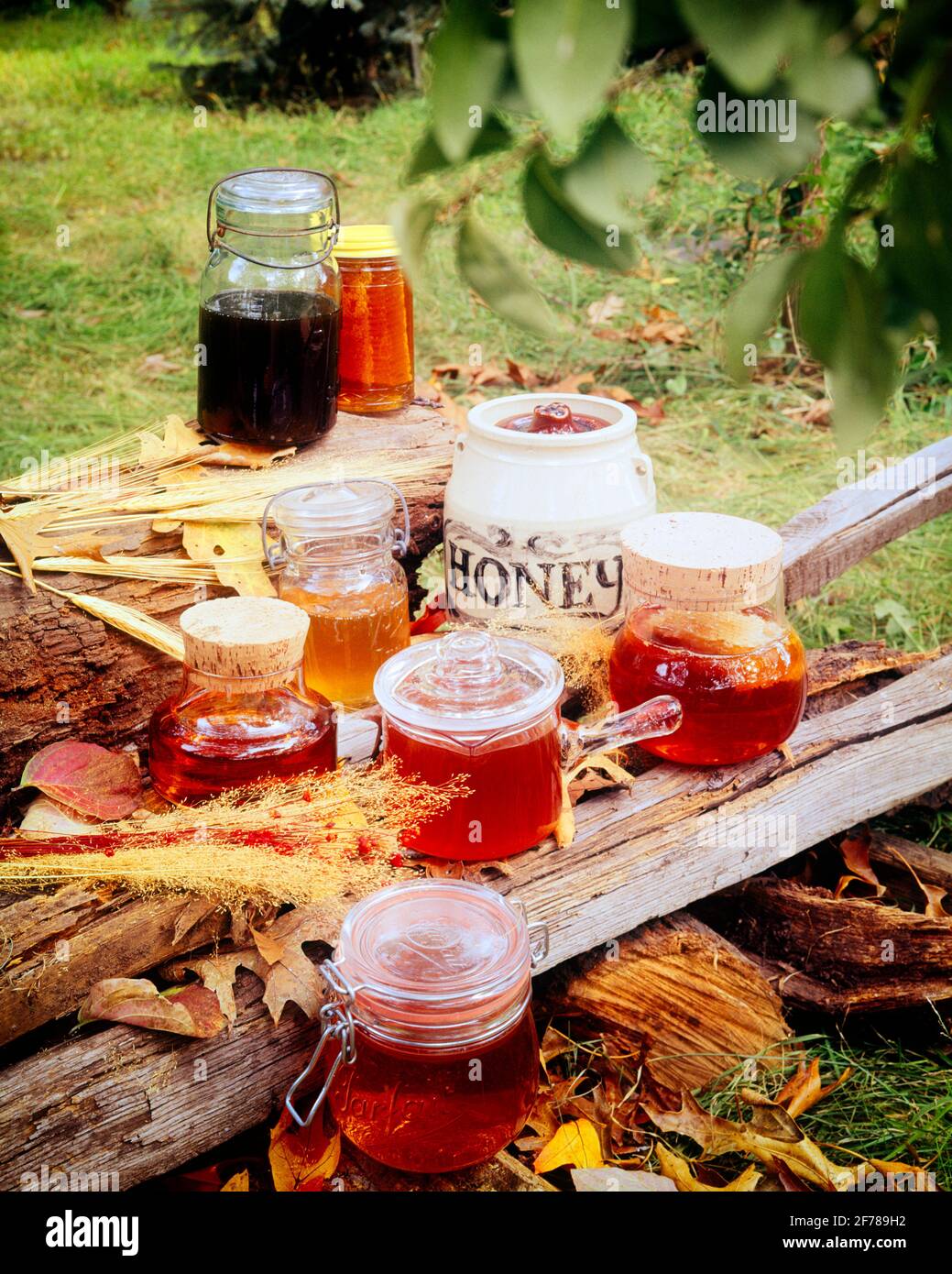 1970s VARIETY OF JARS AND CONTAINERS FILLED WITH HONEY ARRAYED AND DISPLAYED OUTDOORS ON TOP OF SOME LOGS AND DRIED GRAINS - kf8540 PHT001 HARS OLD FASHIONED Stock Photo