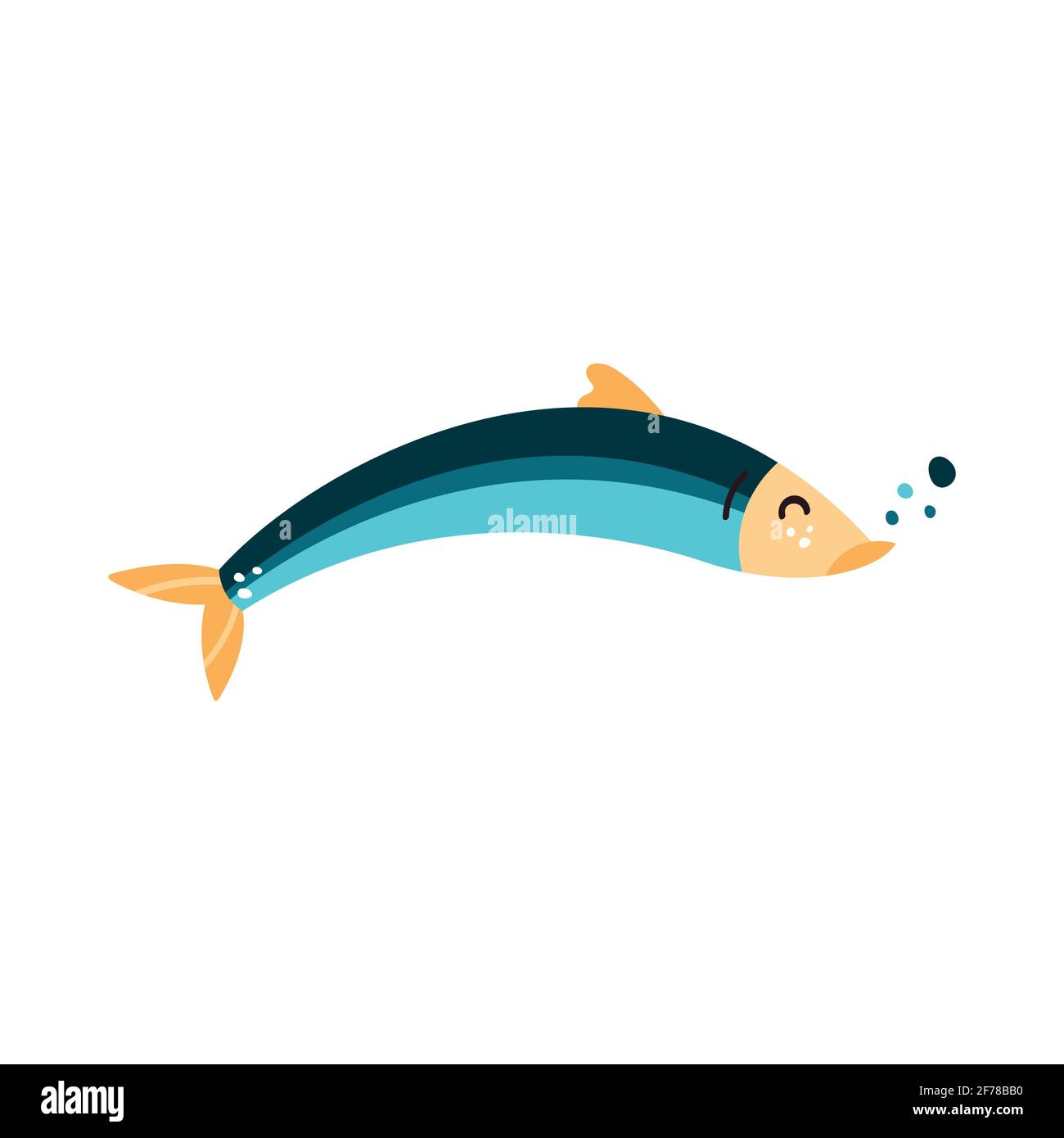 Anchovy fish vector illustration. Small salted forage fish of the