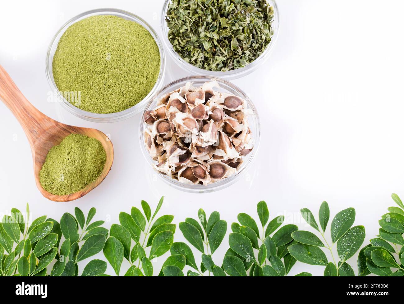 Moringa oleifera with many Benefits, Vitamins, Minerals and Multiple