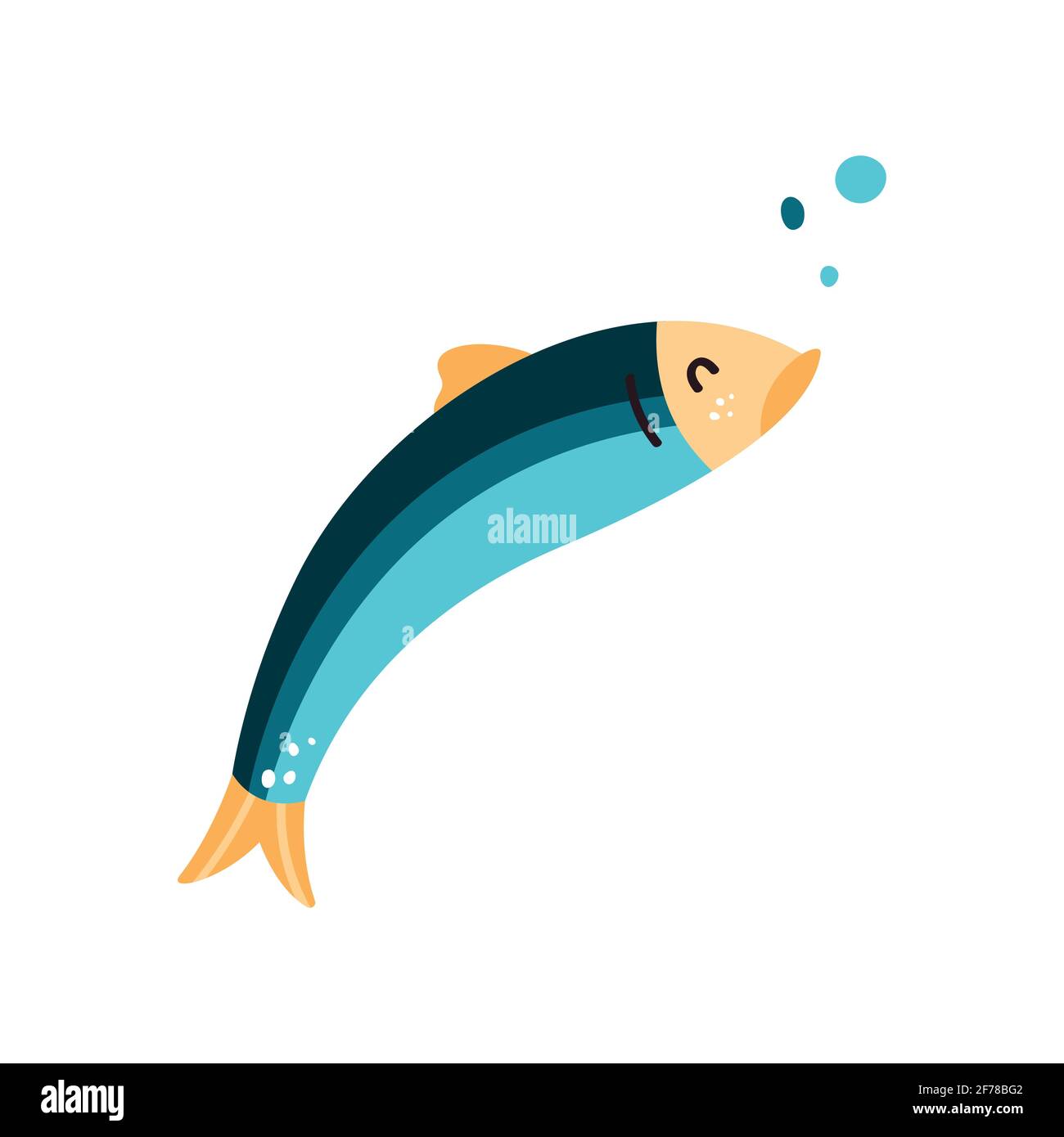 Anchovy fish vector illustration. Small salted forage fish of the