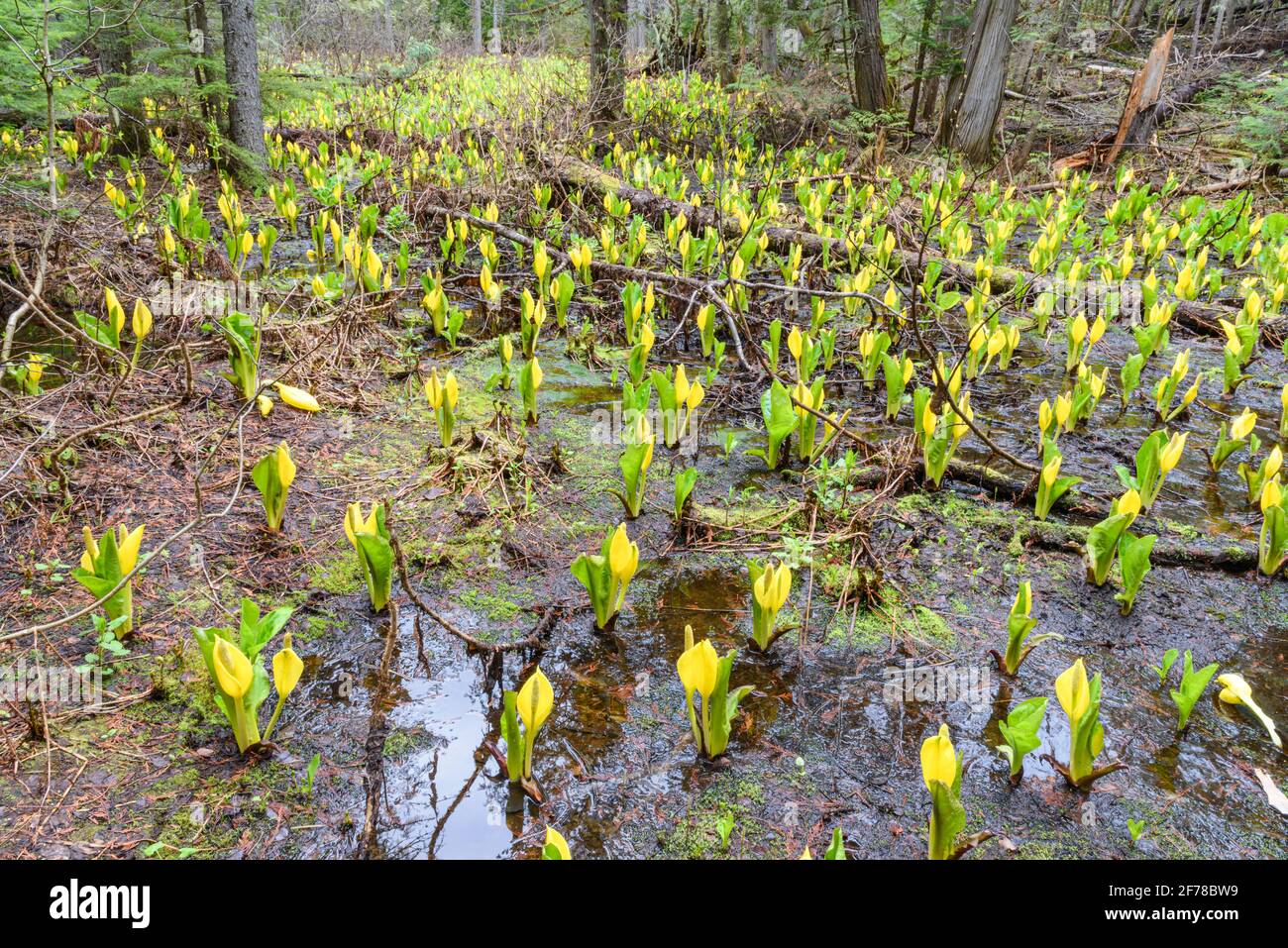 Provincial Soil High Resolution Stock Photography and Images - Alamy