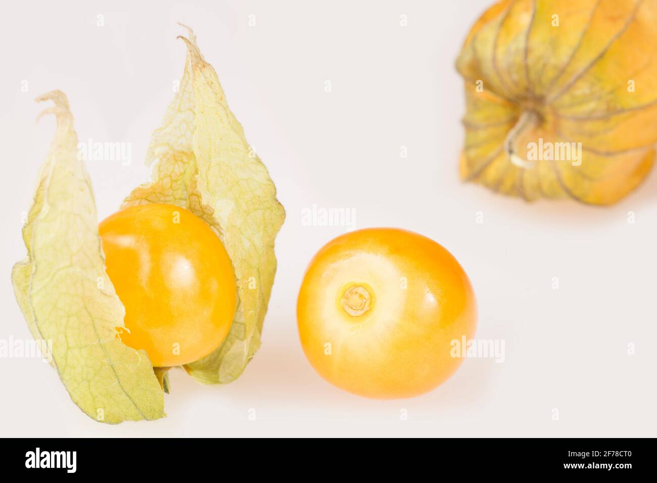 Uchuva Tree Golden berry uchuva physalis hi-res stock photography and images - Alamy