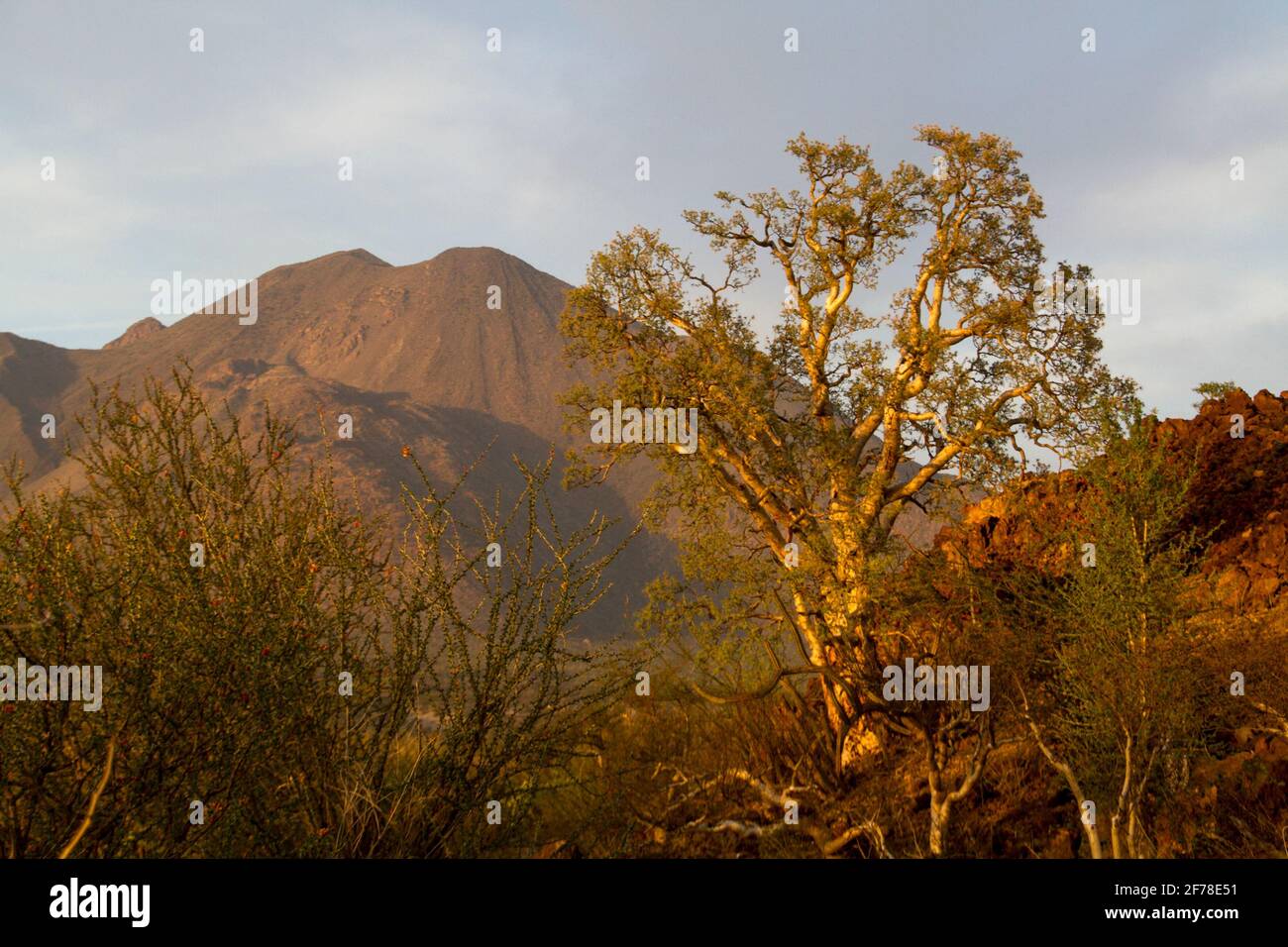 Tres Virgenes volcano Stock Photo