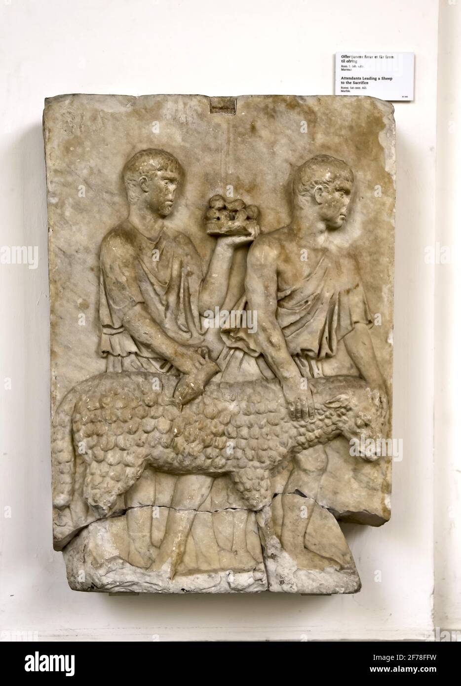 Marble relief showing the sacrifice of a sheep. 1st. century AD. Roman religion. Ny Carlsberg Glyptotek, Copenhagen, Denmark. Stock Photo