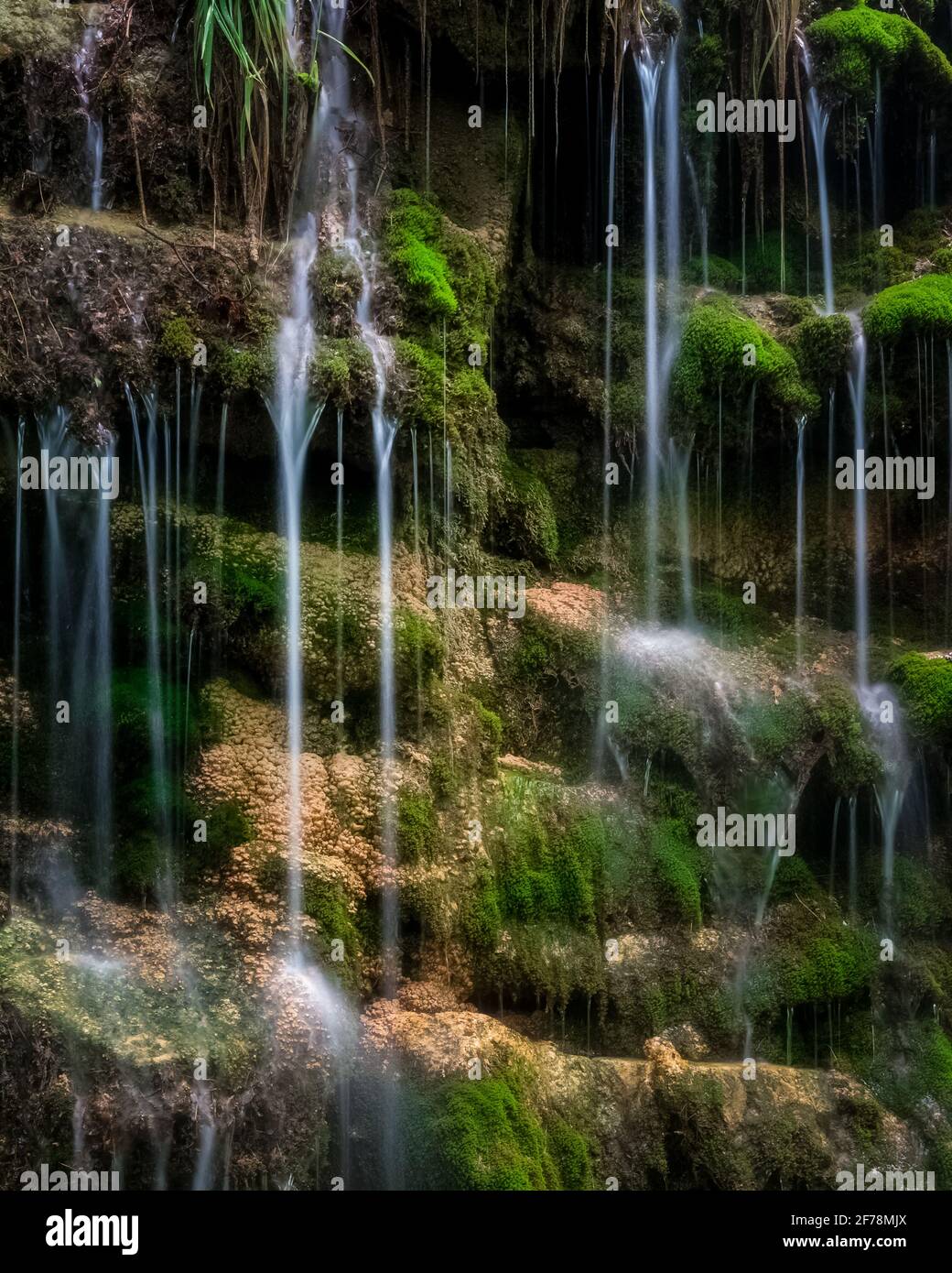 Intimate streams of water cascading down a mossy cliff face. Stock Photo