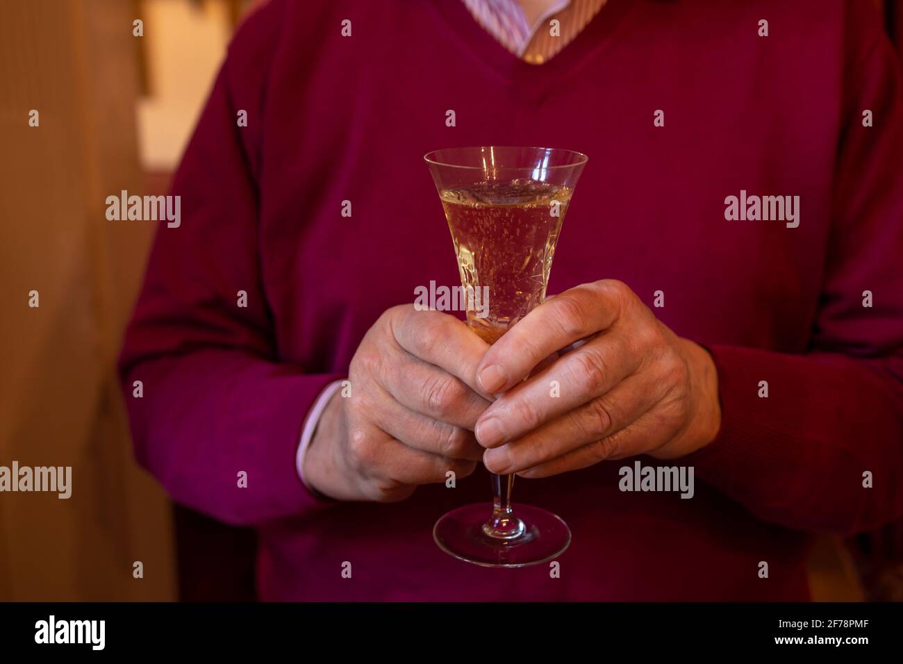hand of an old man holding a glass of sparkling wine in his hands with red pullover and indoor Stock Photo