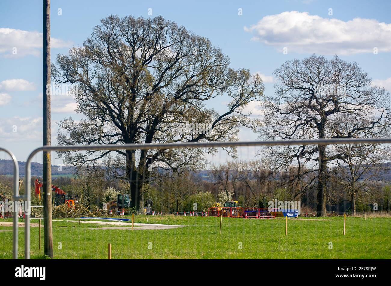 Tree scar nest hires stock photography and images Alamy