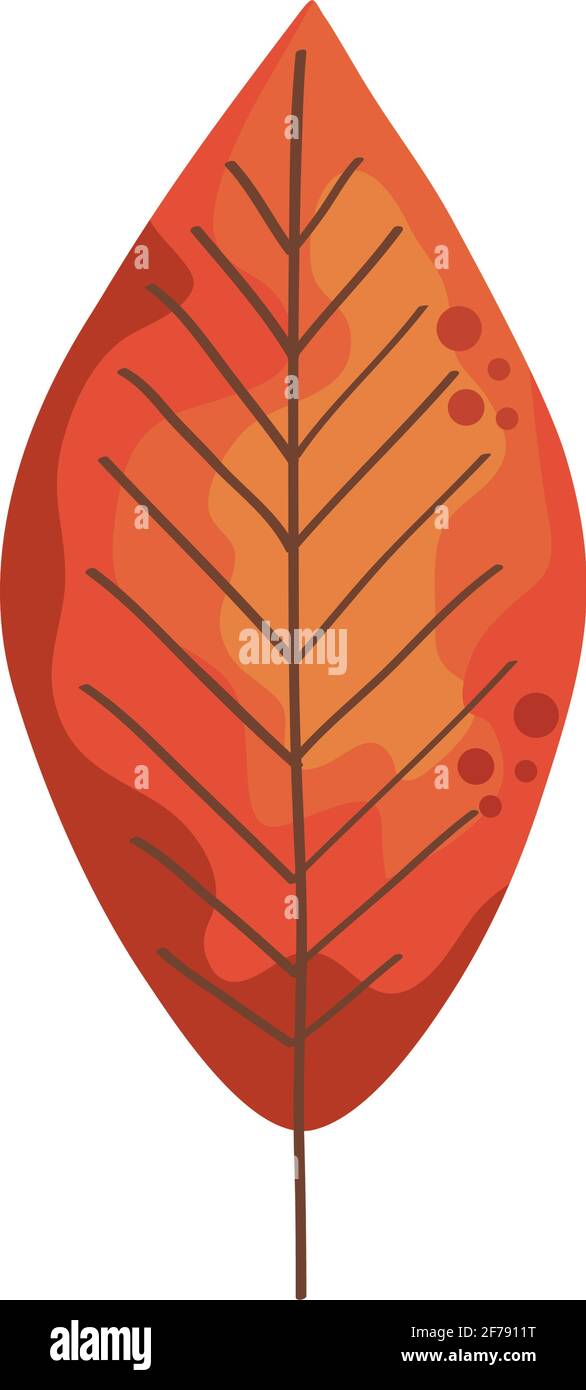 Single dry leaf Stock Vector Images - Alamy