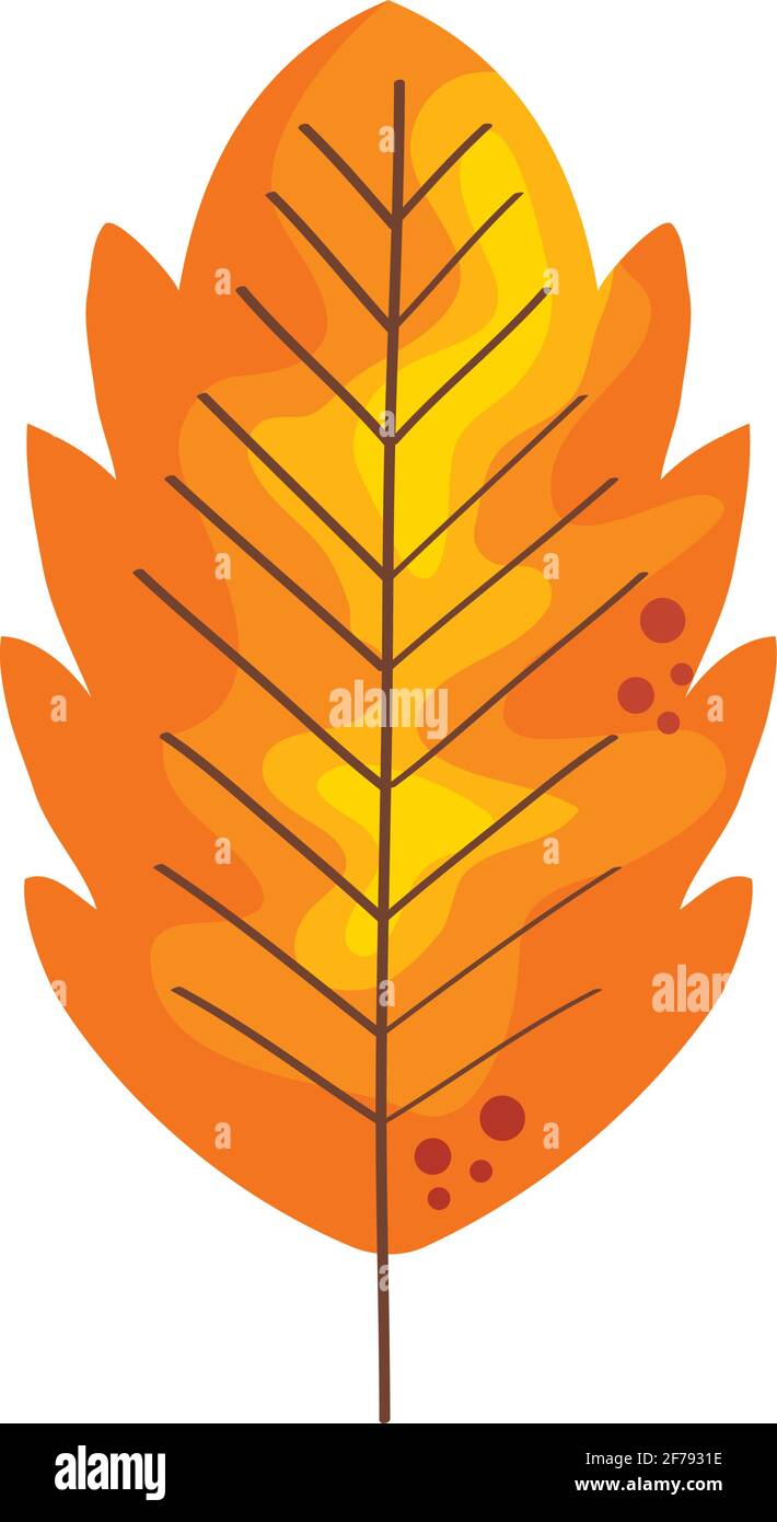 autumn leaf dry Stock Vector Image & Art - Alamy