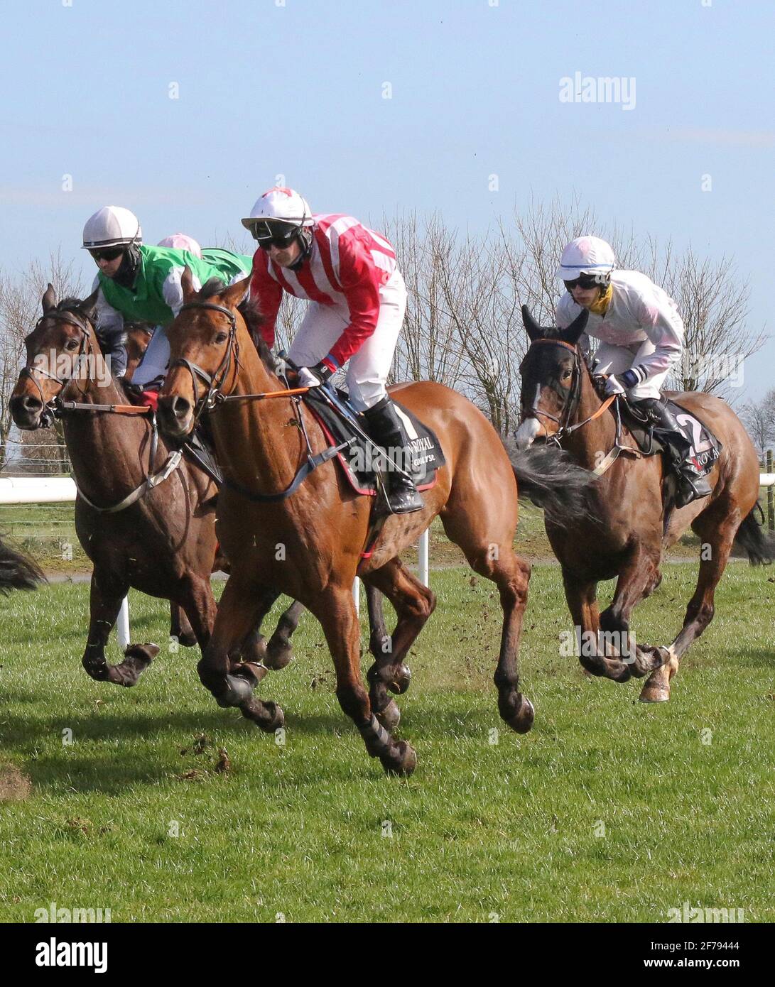 Horse racing UK and Ireland. Down Royal Racecourse, Lisburn, Northern Ireland. 17th March 2021, St Patrick's Day National Hunt Meeting. Bluegrasshorsefeed.com Maiden Hurdle race, held behind closed doors. Racehorse Mcquinn ridden by Cian Cullinan (red/white stripes), trained by Miss Suzy Barkley and owned by Run For Your Money Syndicate. Stock Photo