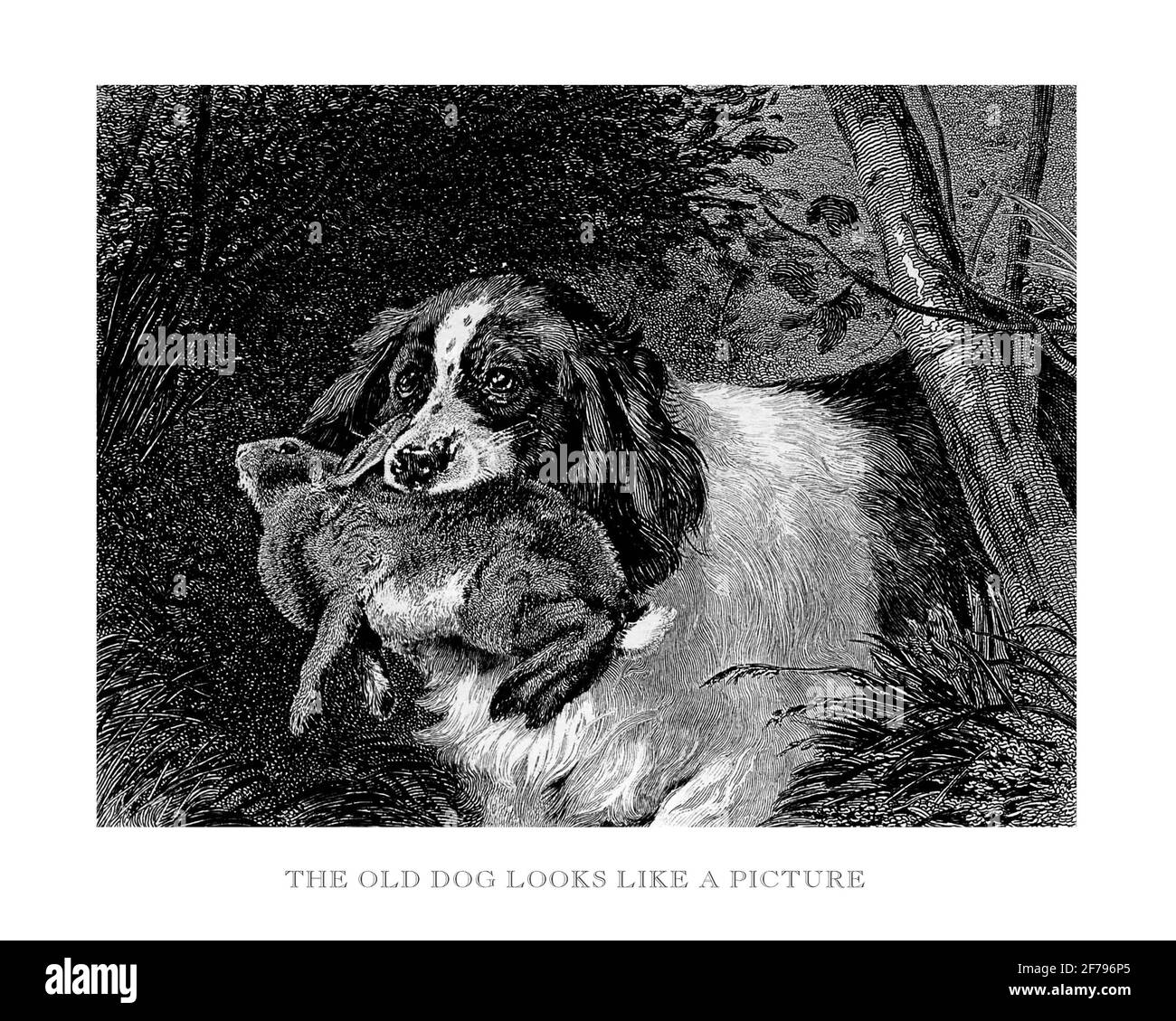 Bring your game Cut Out Stock Images & Pictures - Alamy