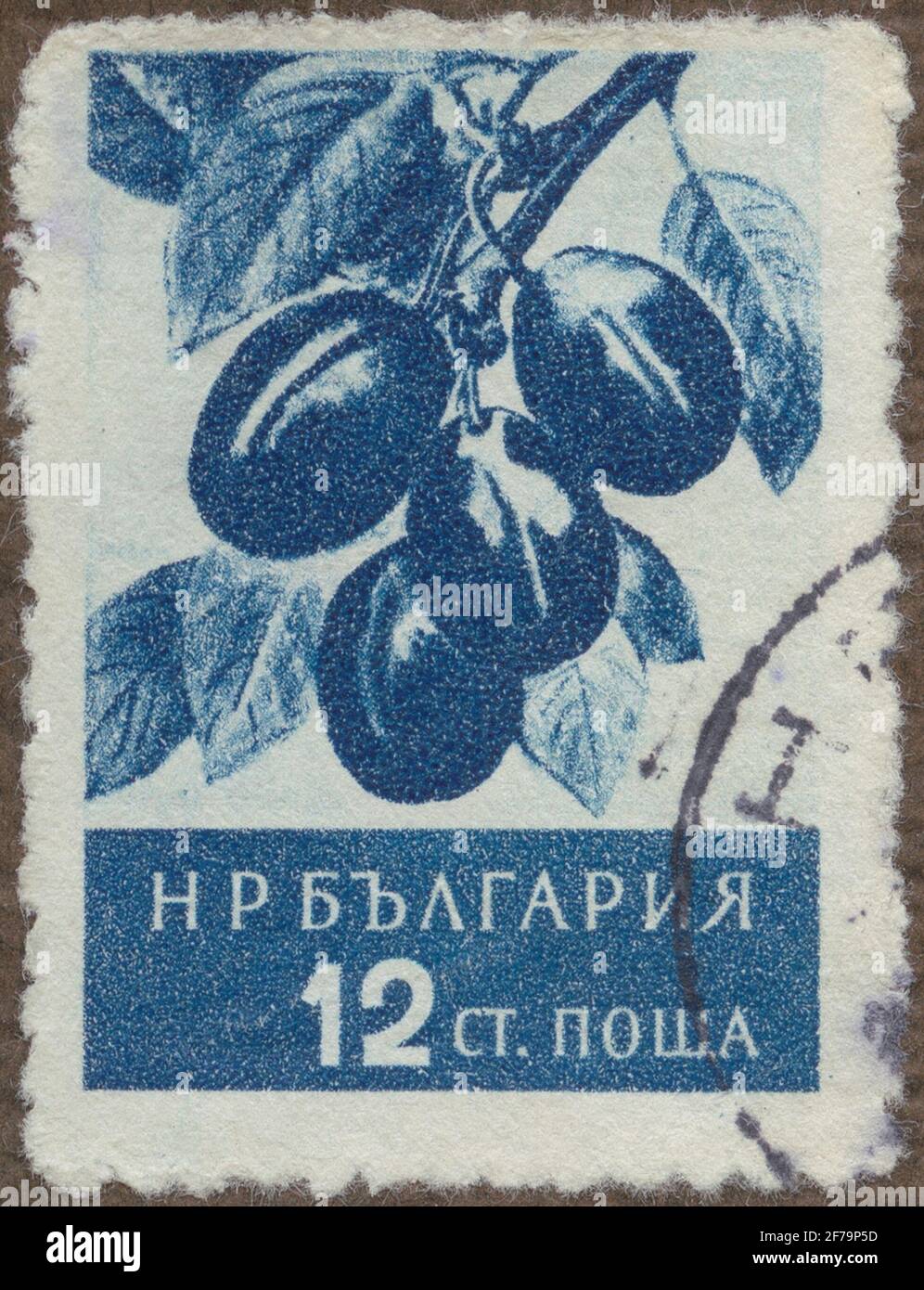 Plum assignment hires stock photography and images Alamy