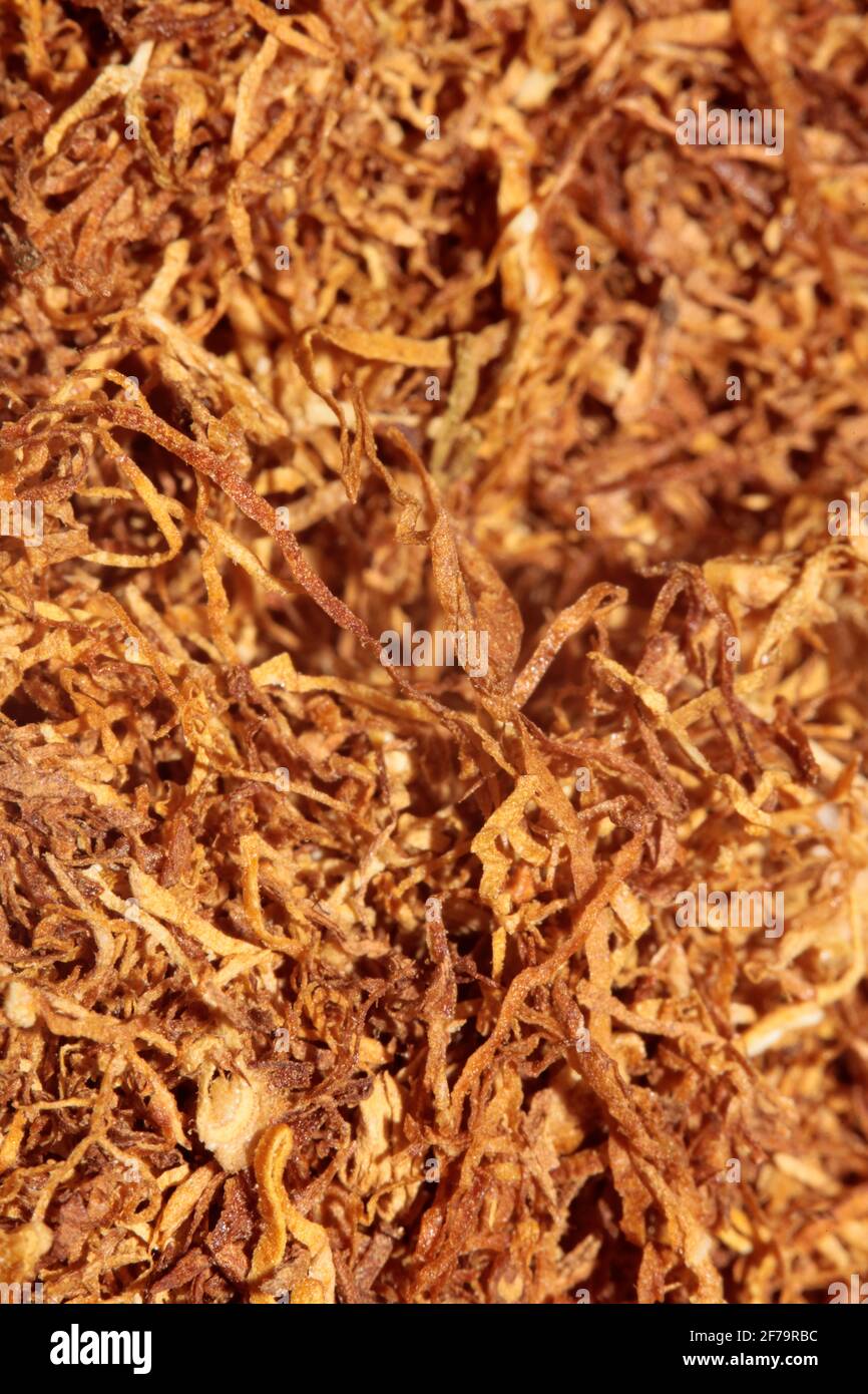 Rolling tobacco hi-res stock photography and images - Page 2 - Alamy