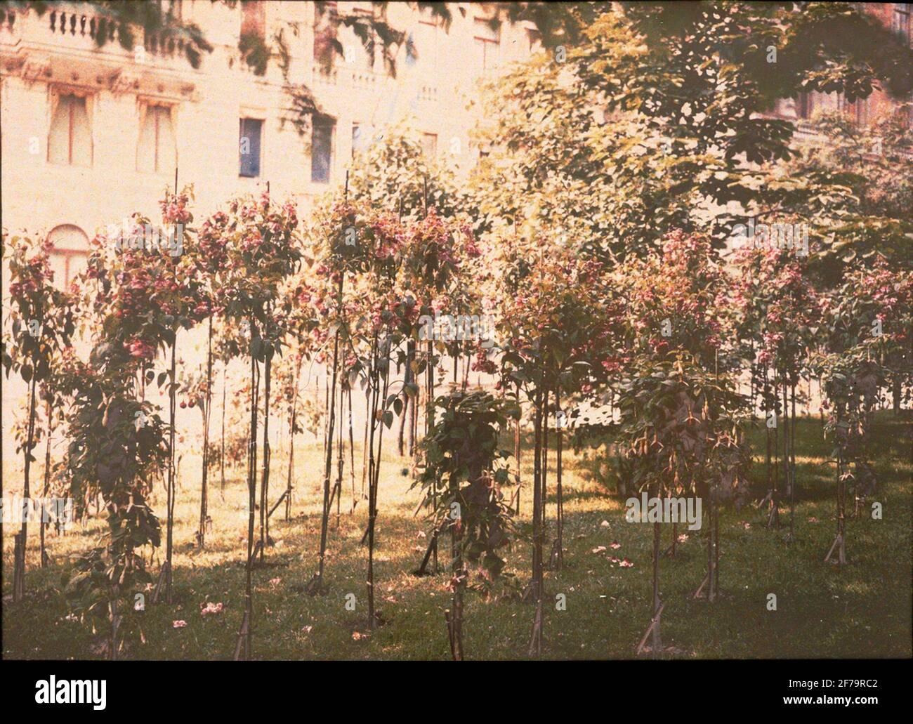 Lumières autochrome. Humlegården and Kungl. The library. Photographed ...