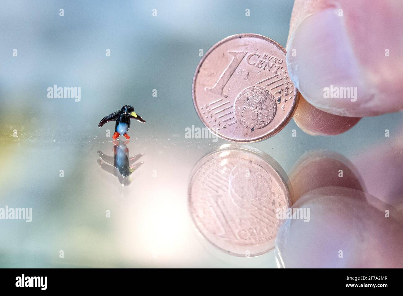 Cuxhaven, Germany. 17th Mar, 2021. The smallest penguin in the museum is smaller than a 1-cent coin. Penguins wherever you look: whether as a plush toy, a collector's figurine or on neckties - the Cuxhaven Penguin Museum is teeming with tailcoats. Credit: Sina Schuldt/dpa/Alamy Live News Stock Photo