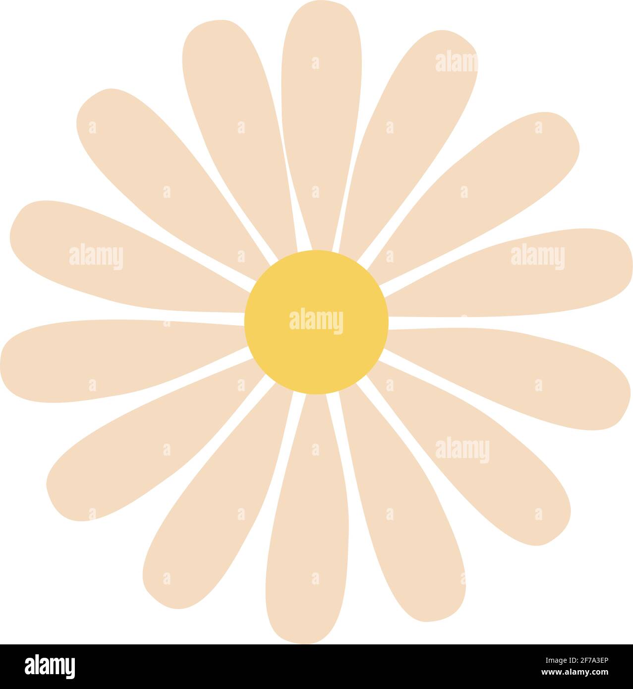 daisy flower on white background Stock Vector Image & Art - Alamy