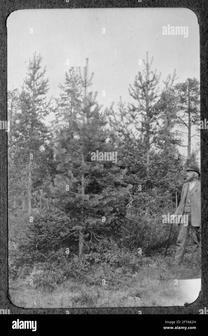 Neglect history Black and White Stock Photos & Images - Alamy