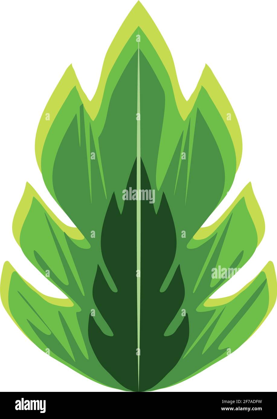 leaf tropical botanical Stock Vector Image & Art - Alamy