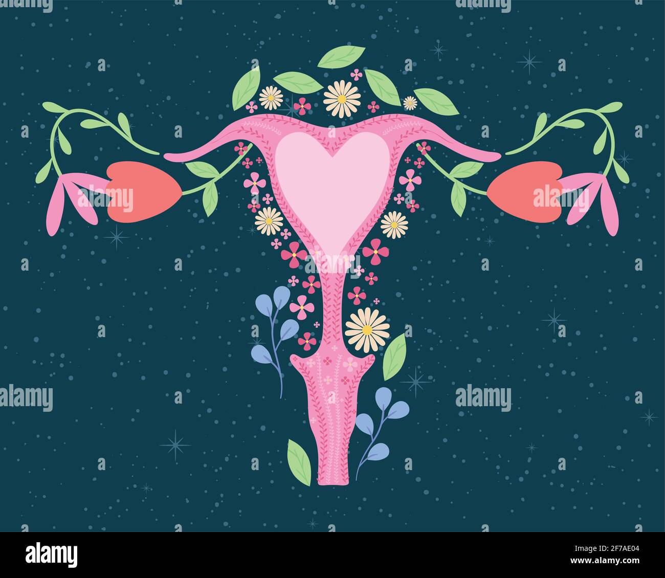 female uterus with decorative flowers Stock Vector Image & Art - Alamy