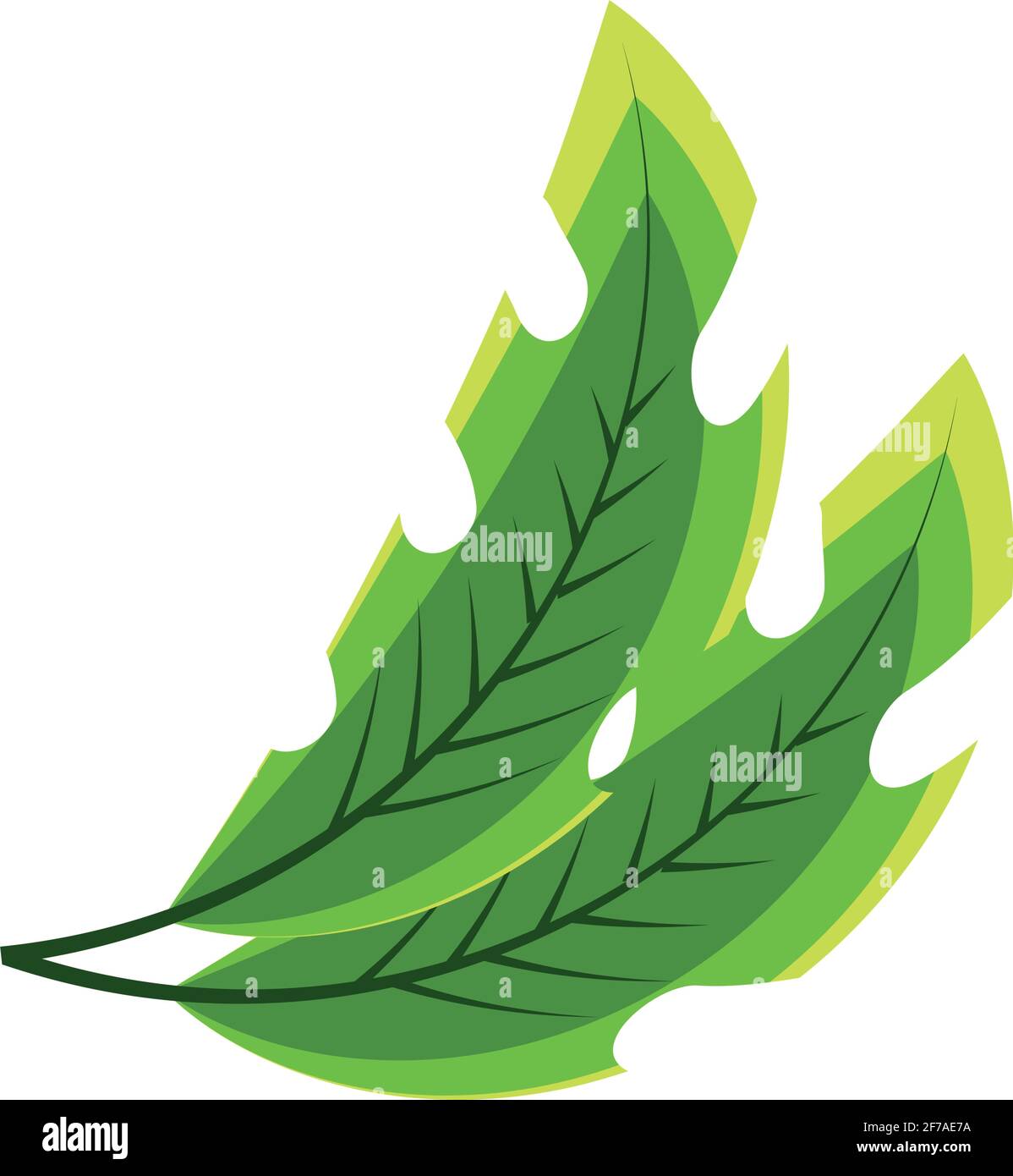 tropical leaves foliage Stock Vector Image & Art - Alamy