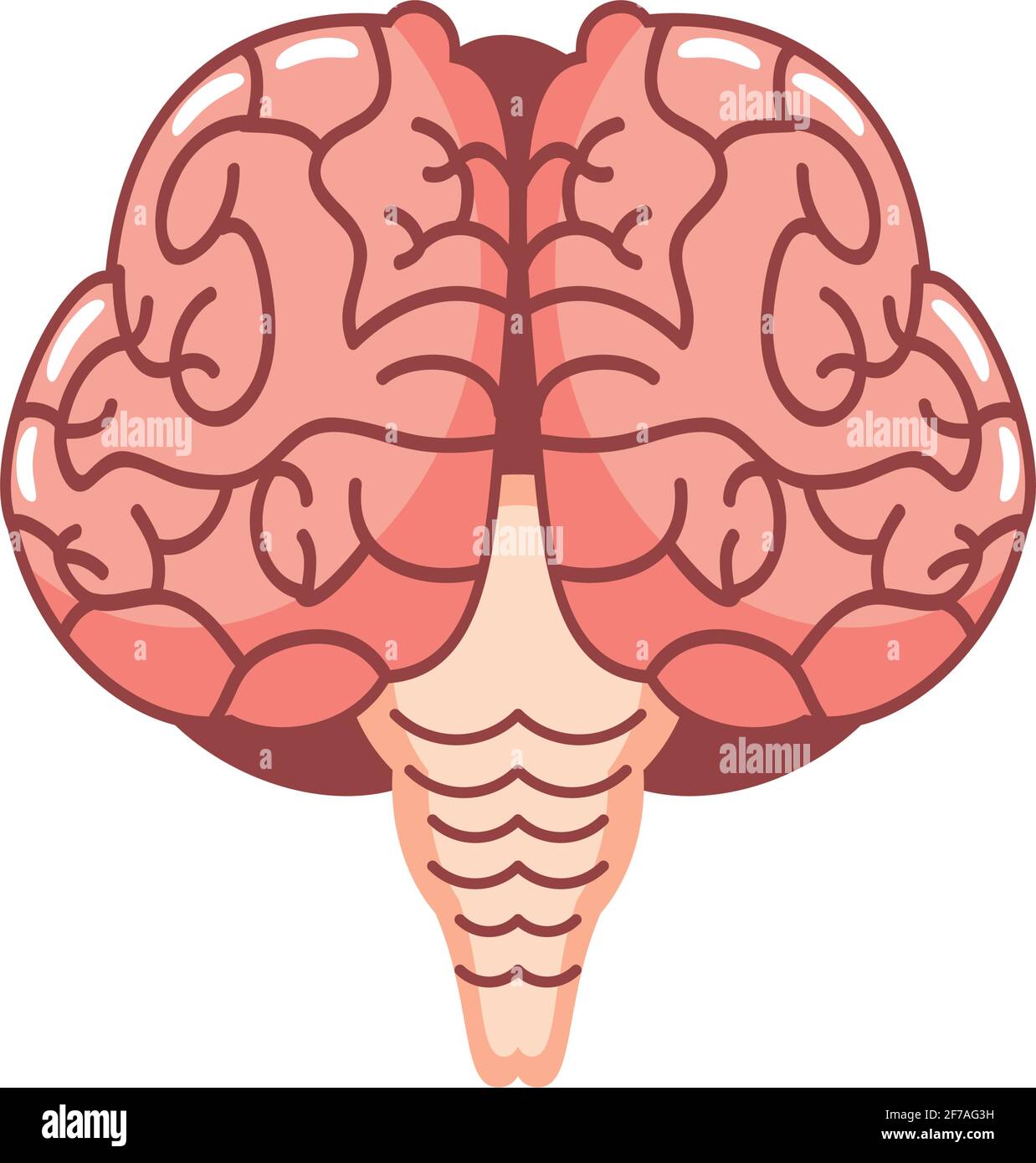 human brain organ Stock Vector Image & Art - Alamy