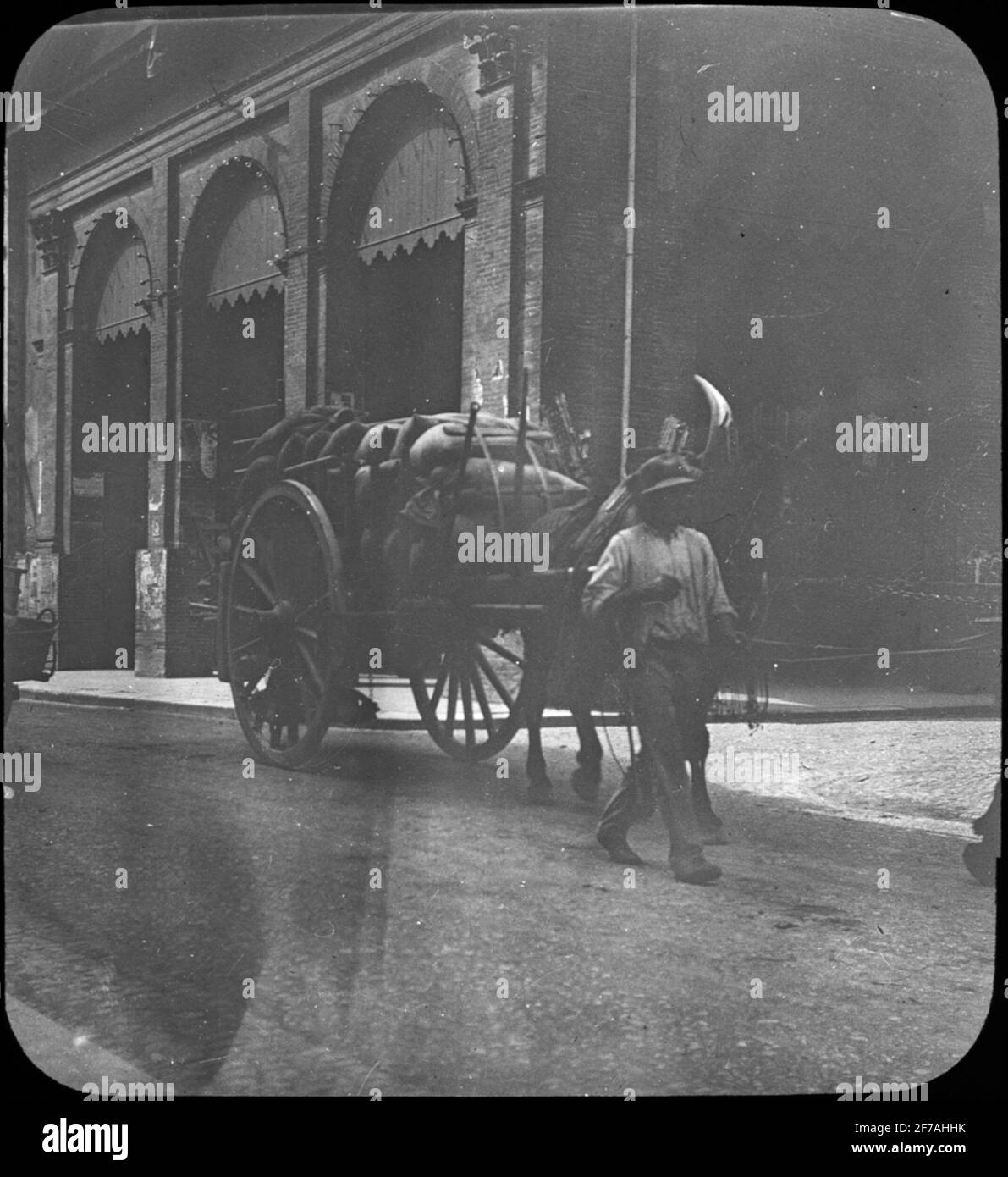 Skioptic image with motifs of man with full-loaded cart in southern France.The image has been stored in cardboard labeled: Höstesan 1907. St. Gaudents 1. Tabres 1. N: 18. XIV. Text on image: 'Southern France'. Stock Photo