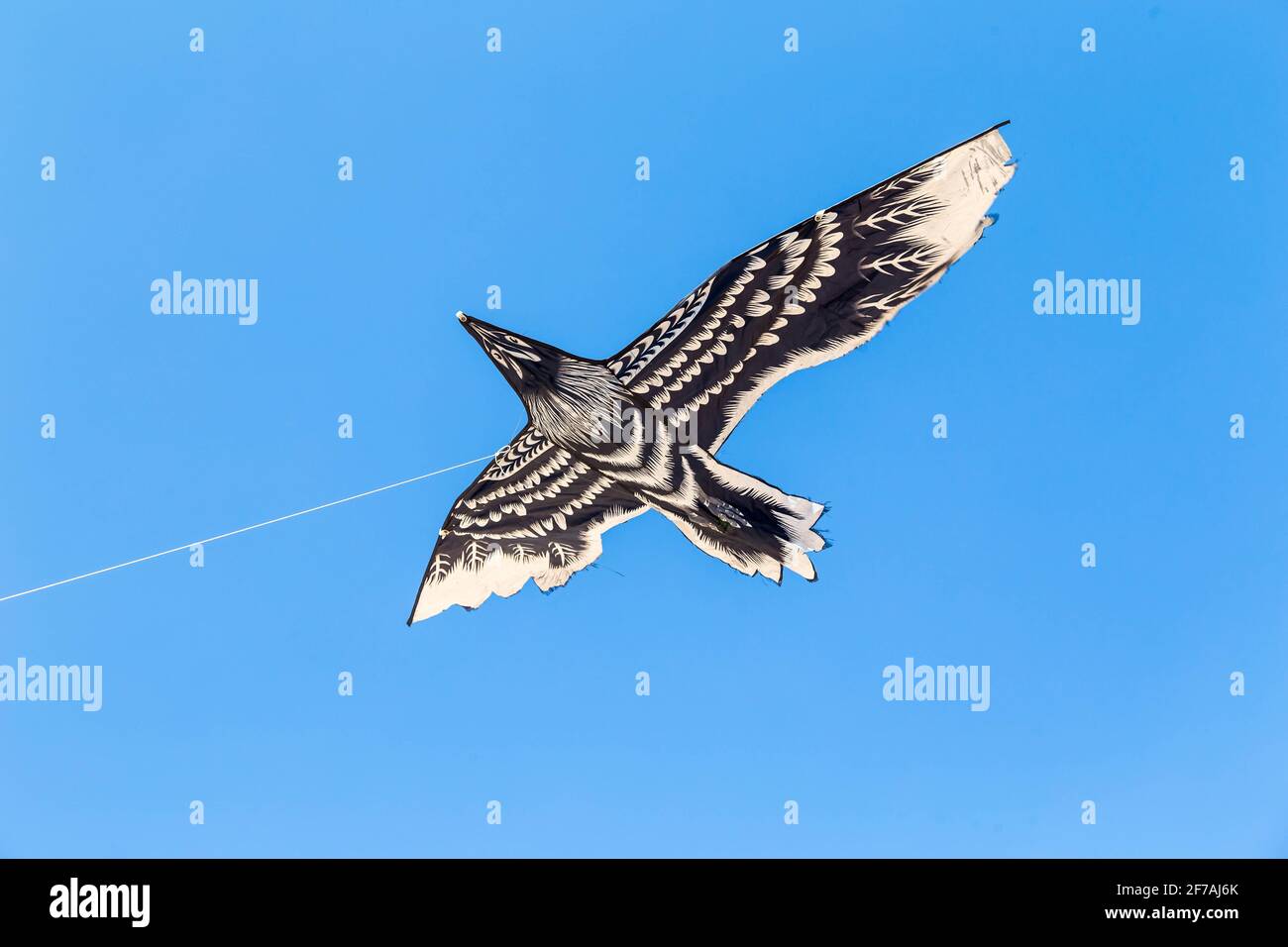 Colorful chinese kite flying in the blue sky. Stock Photo