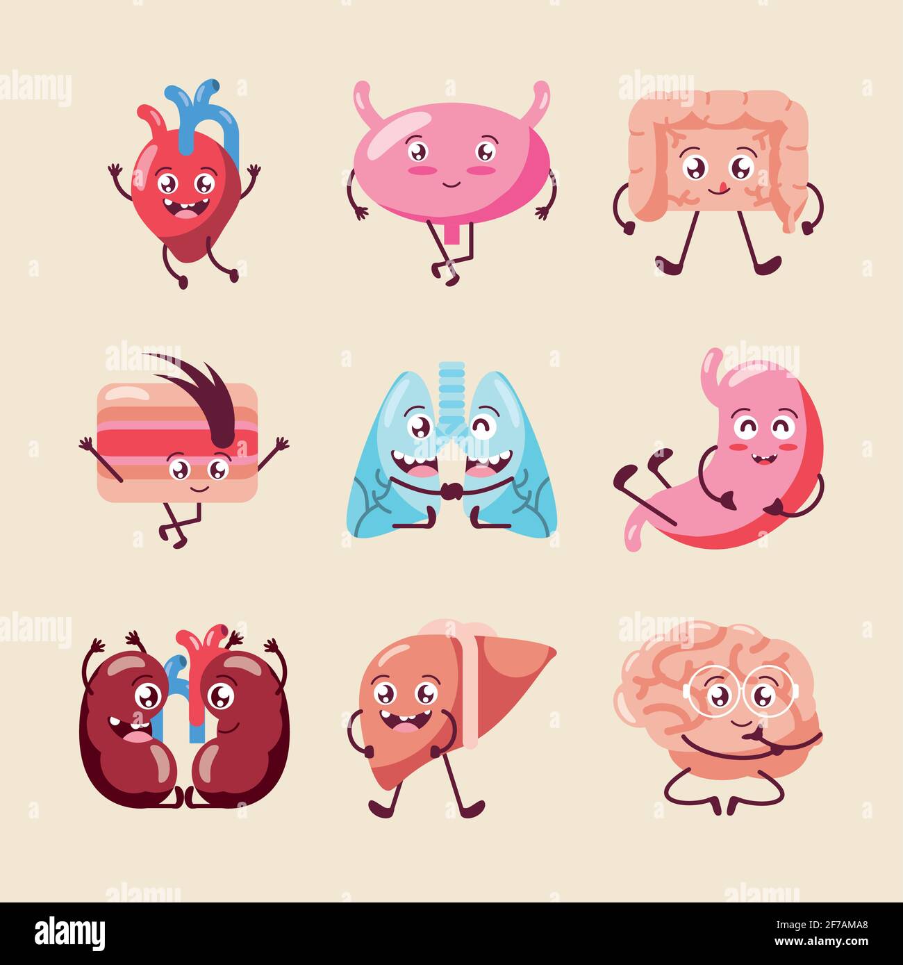 cute human organs Stock Vector Image & Art - Alamy