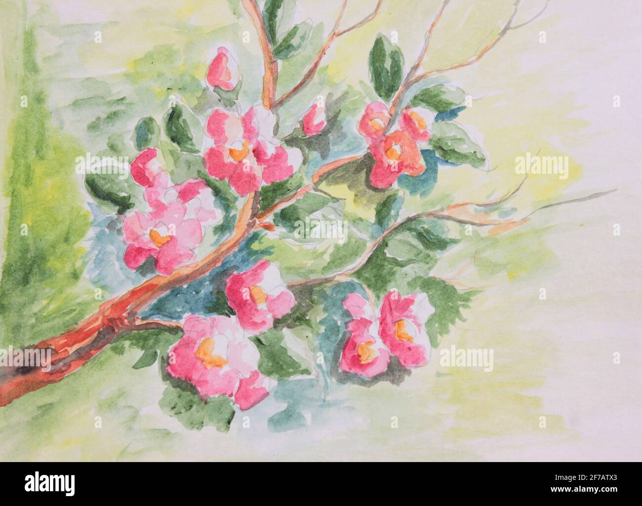 Watercolor Flower Painting High Resolution Stock Photography And Images Alamy