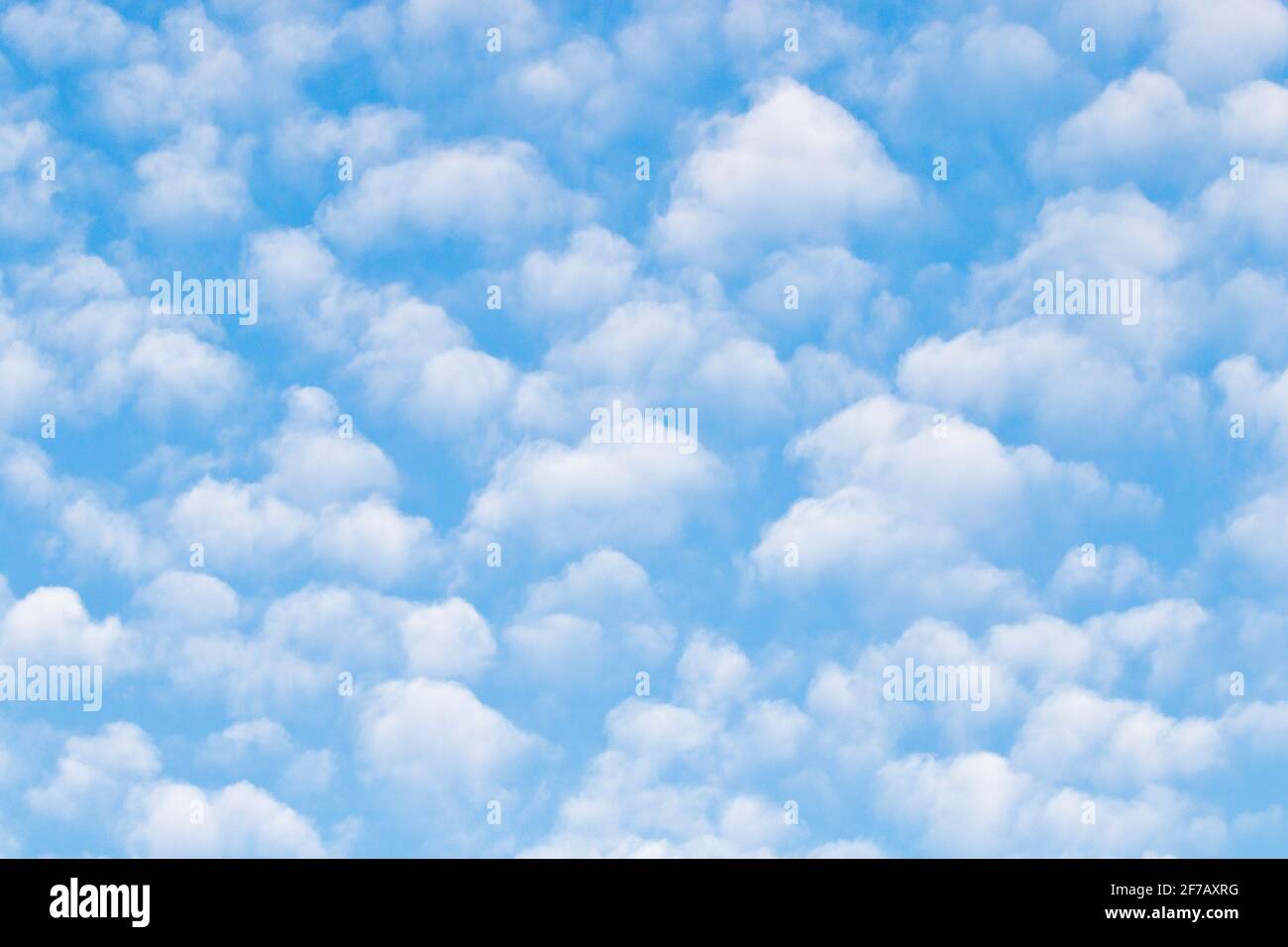 Sky filled with Cirrocumulus clouds Stock Photo