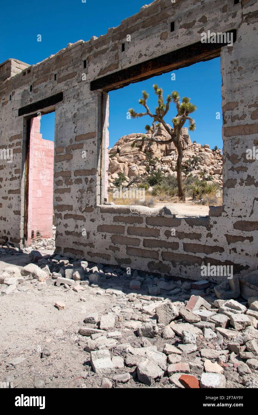 Joshua Tree National Park in Southern California contains ruins such as this old home near Barker Dam. Stock Photo