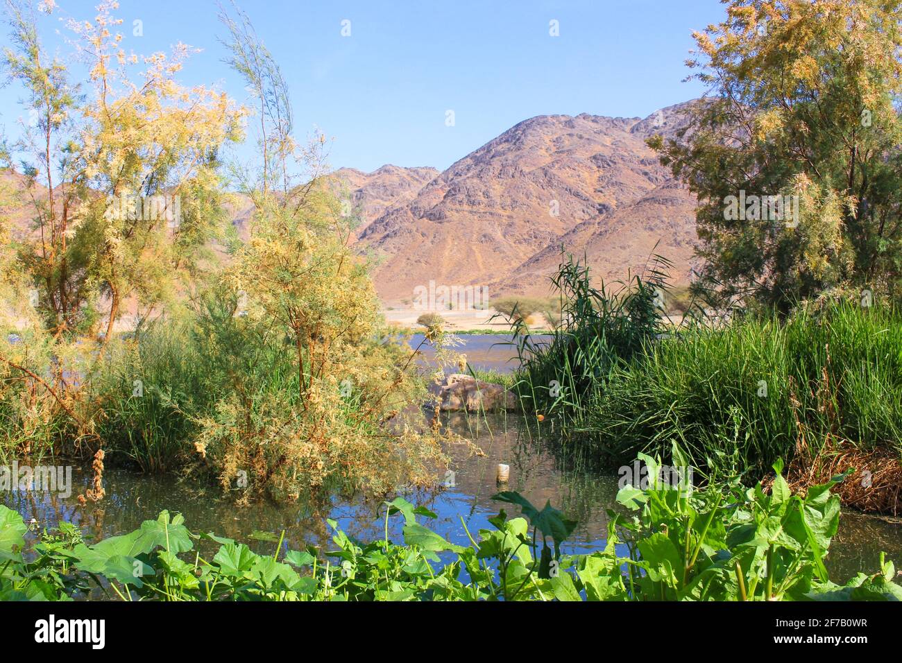 Desert Lake In Taif Saudi Arabia Stock Photo Alamy